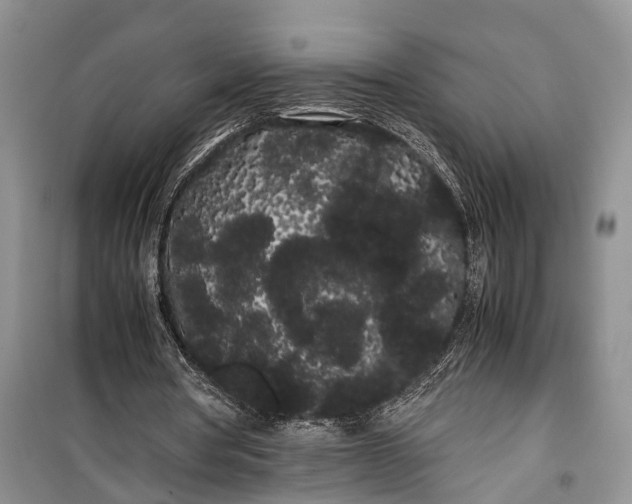 X0000100220386200806131319