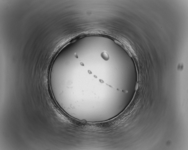 X0000100220389200806131319