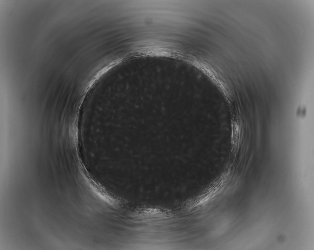 X0000100220390200806131319