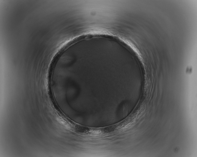 X0000100220391200806131319