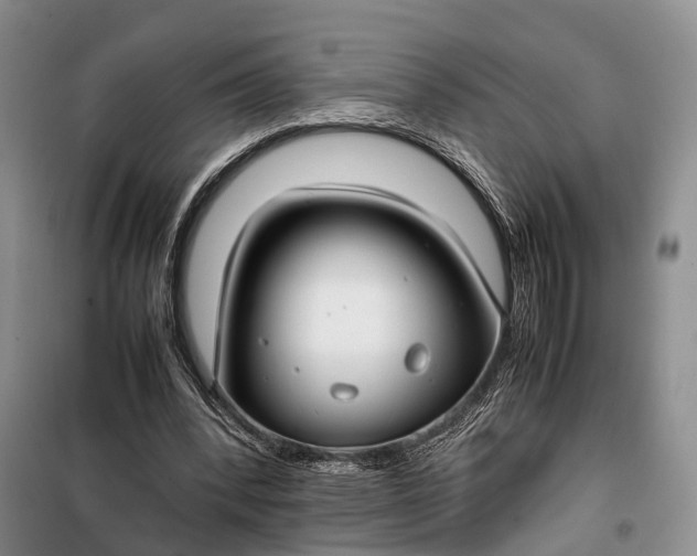 X0000100220392200806131319