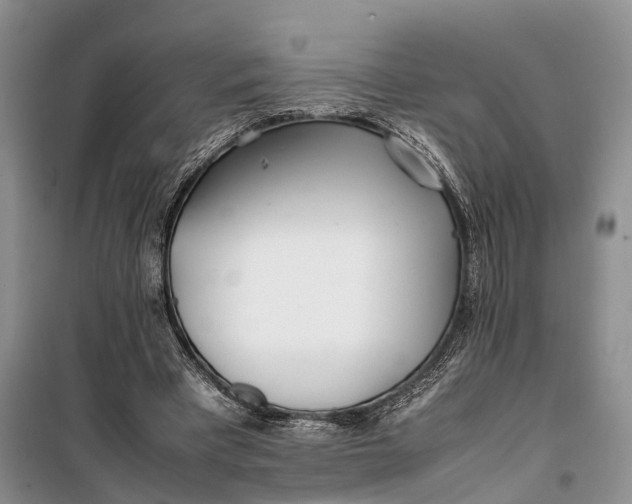 X0000100220393200806131319