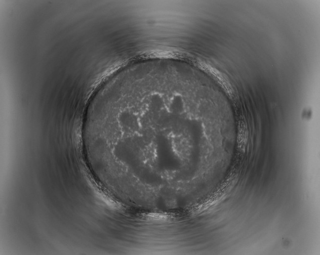 X0000100220394200806131319