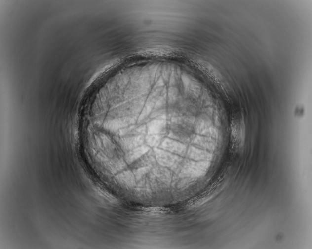 X0000100220396200806131319