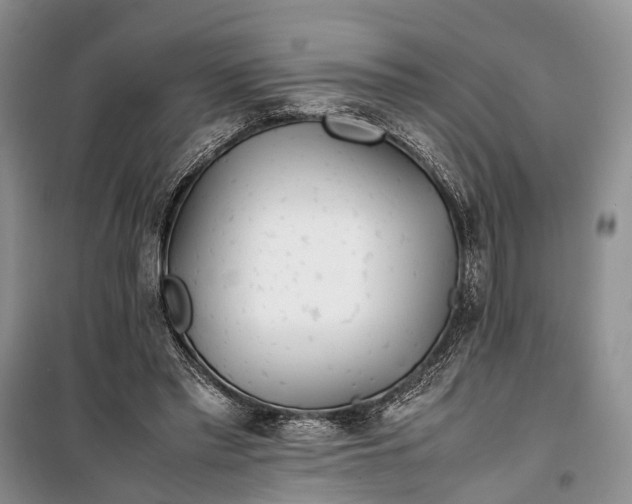 X0000100220397200806131319