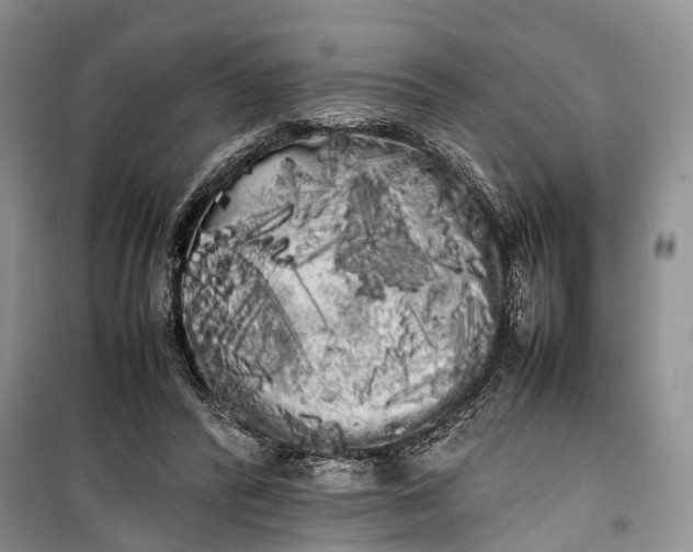 X0000100220400200806131319