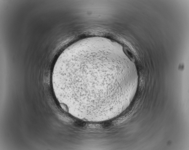 X0000100220403200806131319