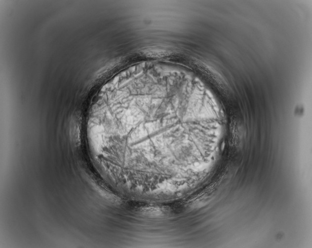 X0000100220404200806131319