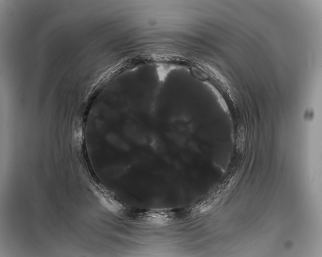 X0000100220405200806131319