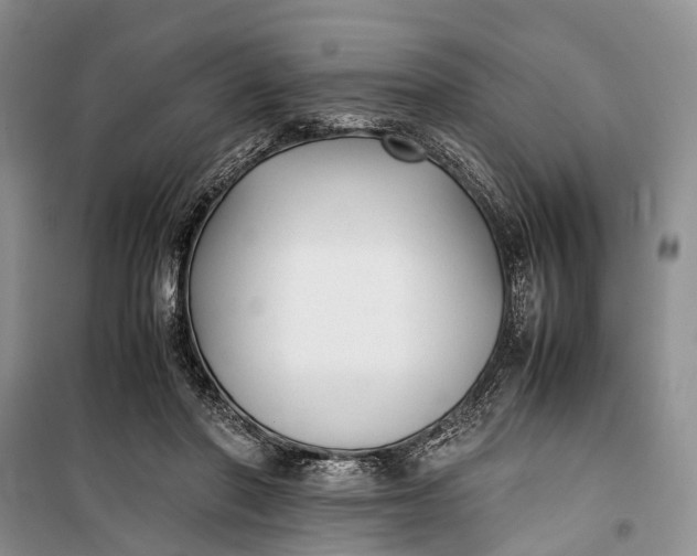 X0000100220406200806131319