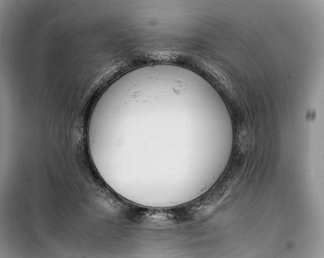 X0000100220407200806131319