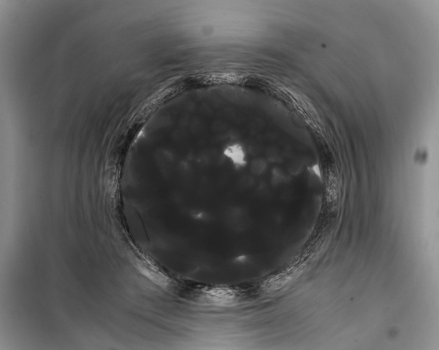 X0000100220409200806131319