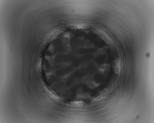 X0000100220410200806131319