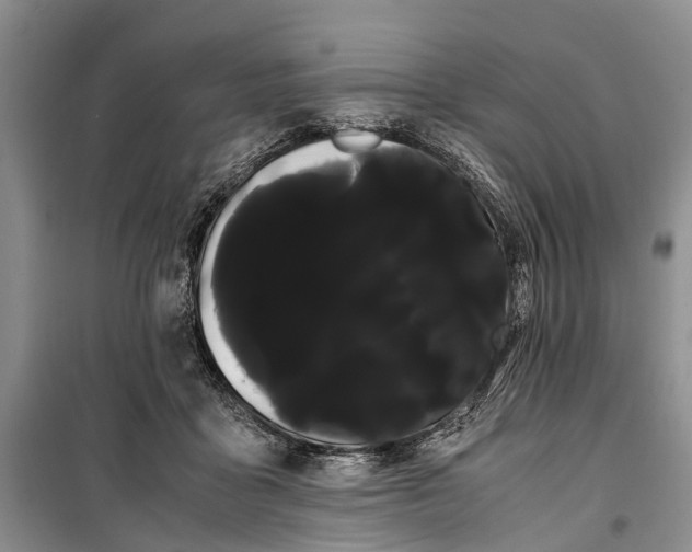 X0000100220411200806131319