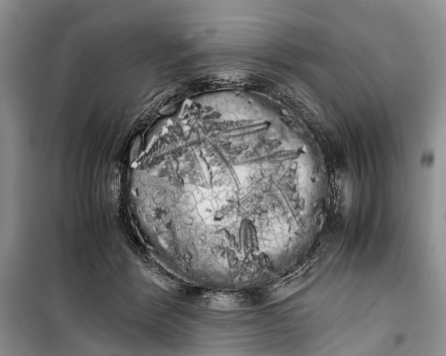 X0000100220412200806131319