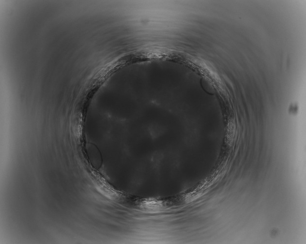 X0000100220413200806131319