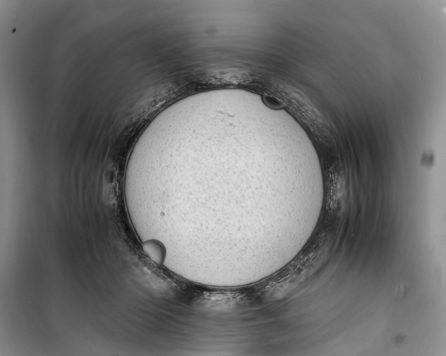 X0000100220414200806131319