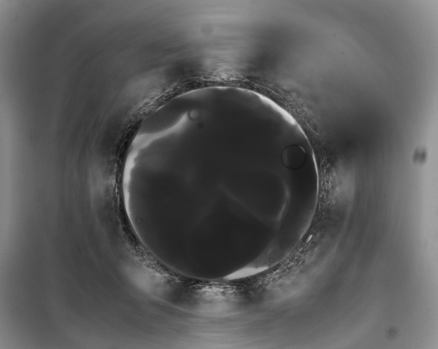 X0000100220415200806131319