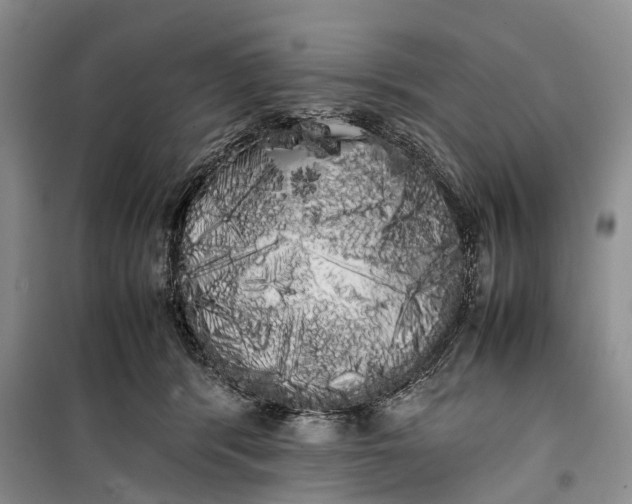 X0000100220416200806131319