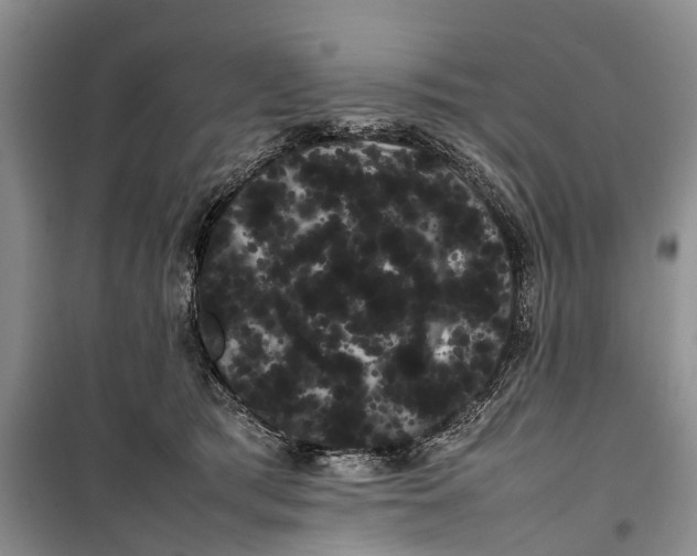 X0000100220417200806131319