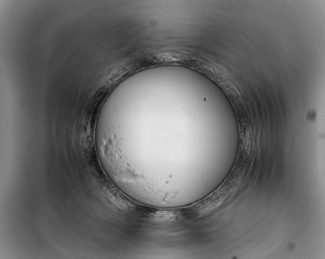 X0000100220418200806131318