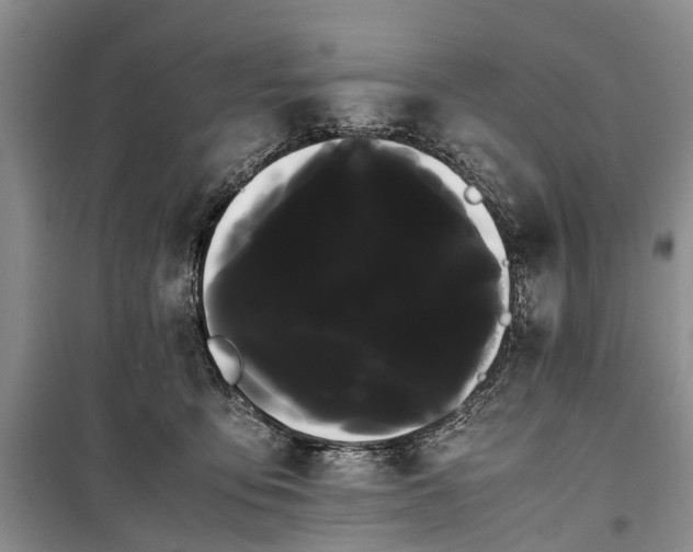 X0000100220419200806131318