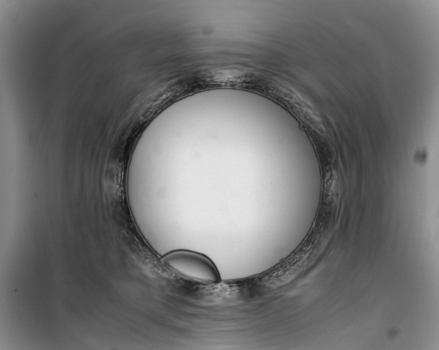 X0000100220421200806131318