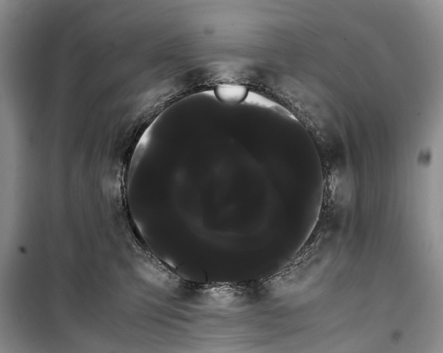 X0000100220423200806131318