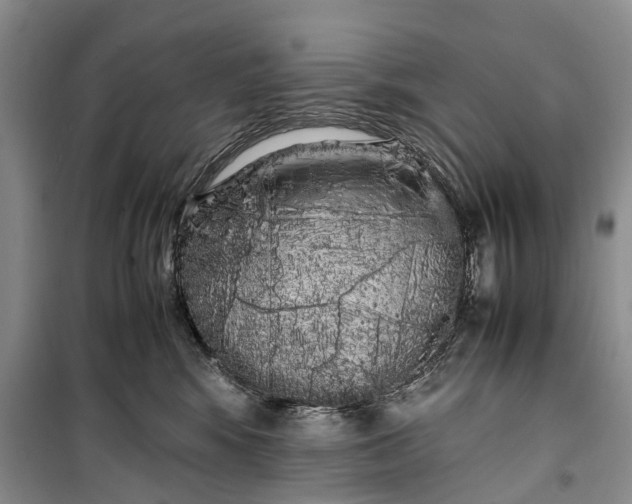 X0000100220424200806131318