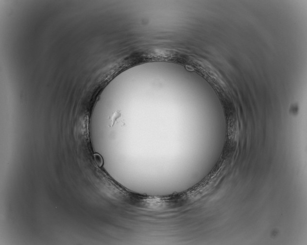 X0000100220425200806131318