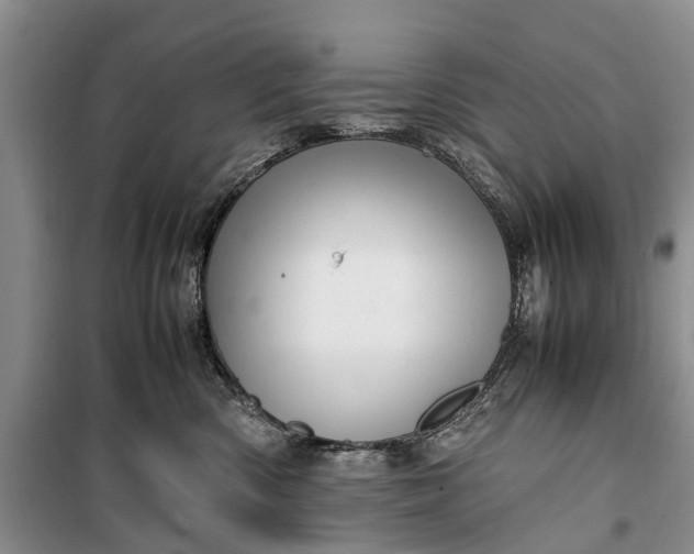 X0000100220426200806131318