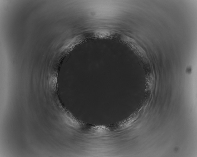 X0000100220427200806131318