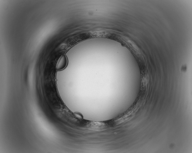 X0000100220429200806131318