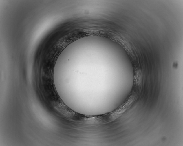 X0000100220430200806131318