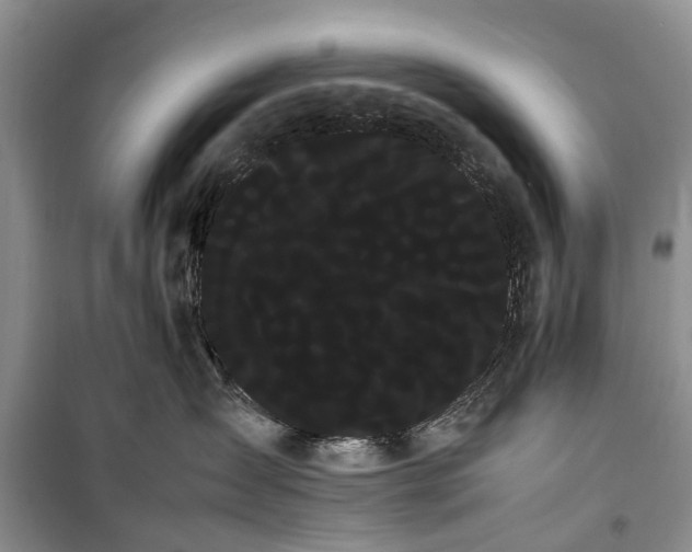 X0000100220431200806131318