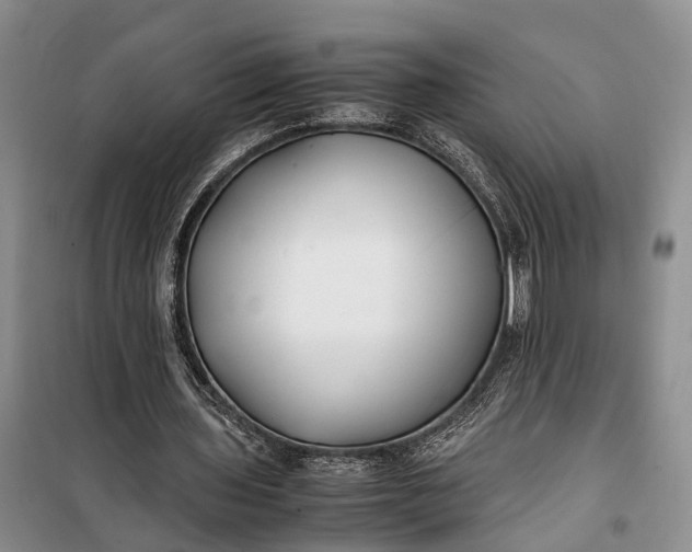 X0000100220435200806131318