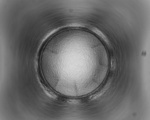 X0000100220436200806131318