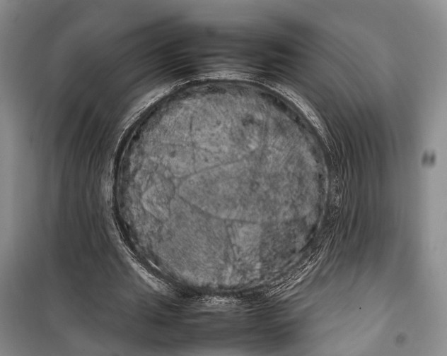 X0000100220437200806131318