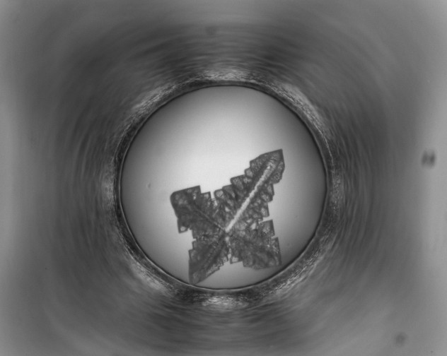 X0000100220441200806131318