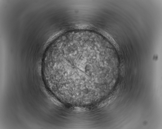 X0000100220442200806131318