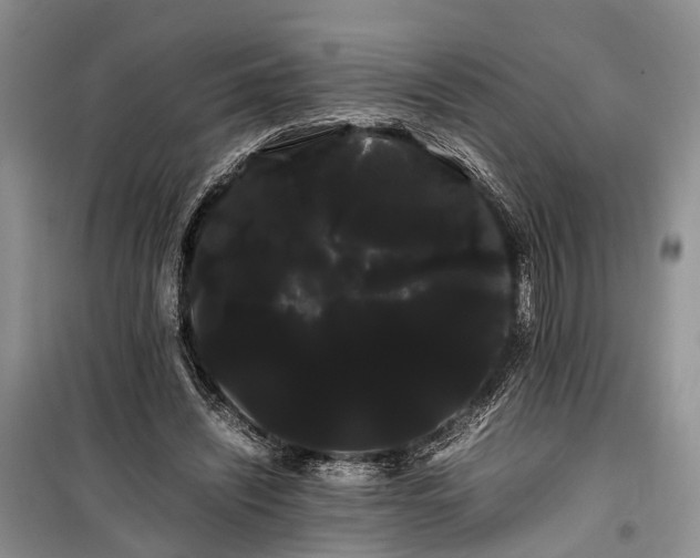 X0000100220444200806131318