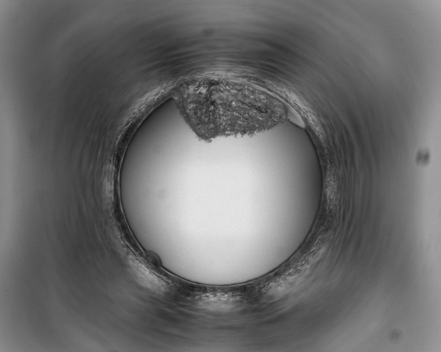 X0000100220445200806131318