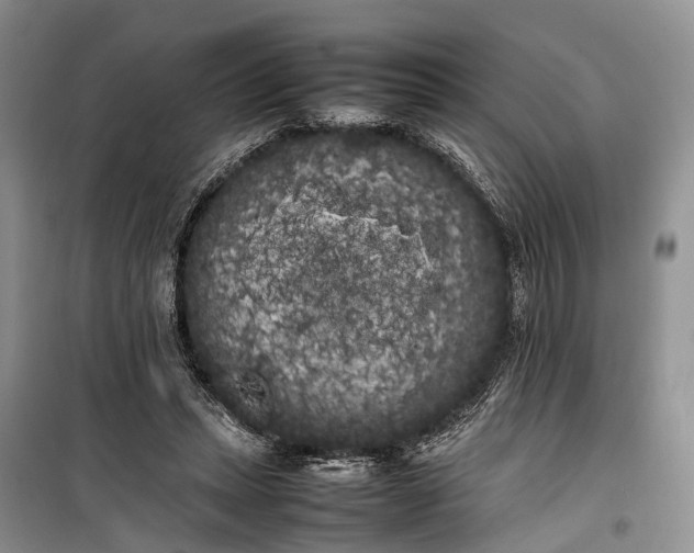 X0000100220447200806131318