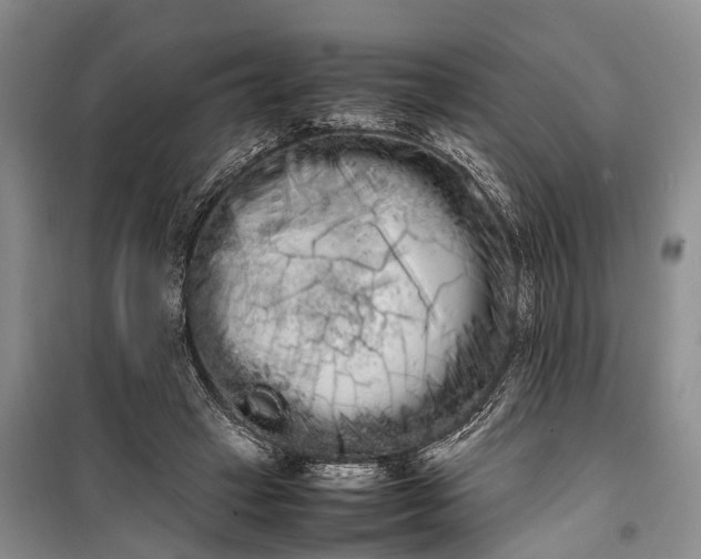 X0000100220449200806131318