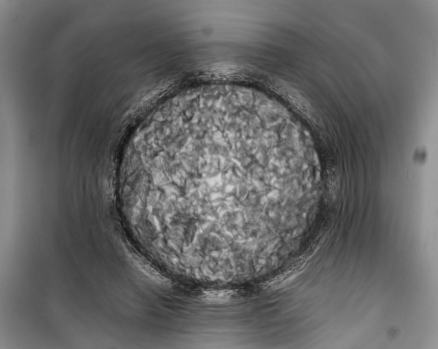 X0000100220450200806131318