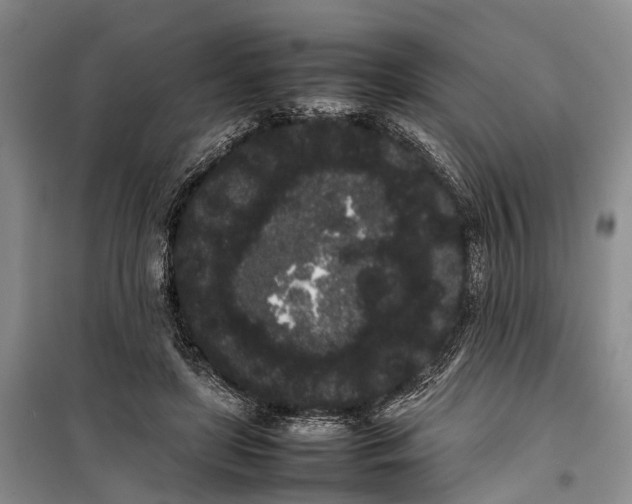 X0000100220451200806131318