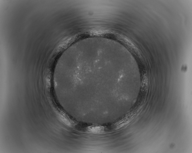 X0000100220452200806131318