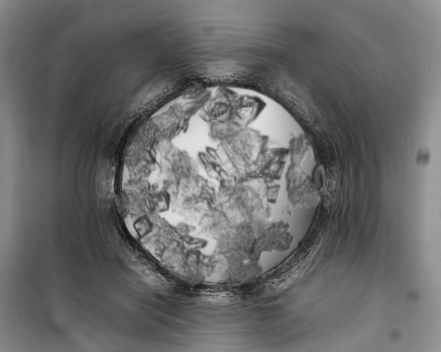 X0000100220454200806131318