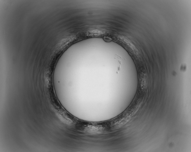 X0000100220455200806131318