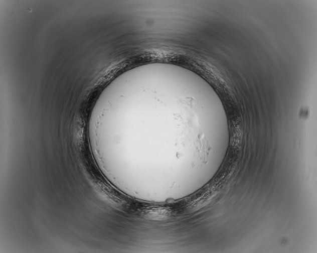 X0000100220456200806131318